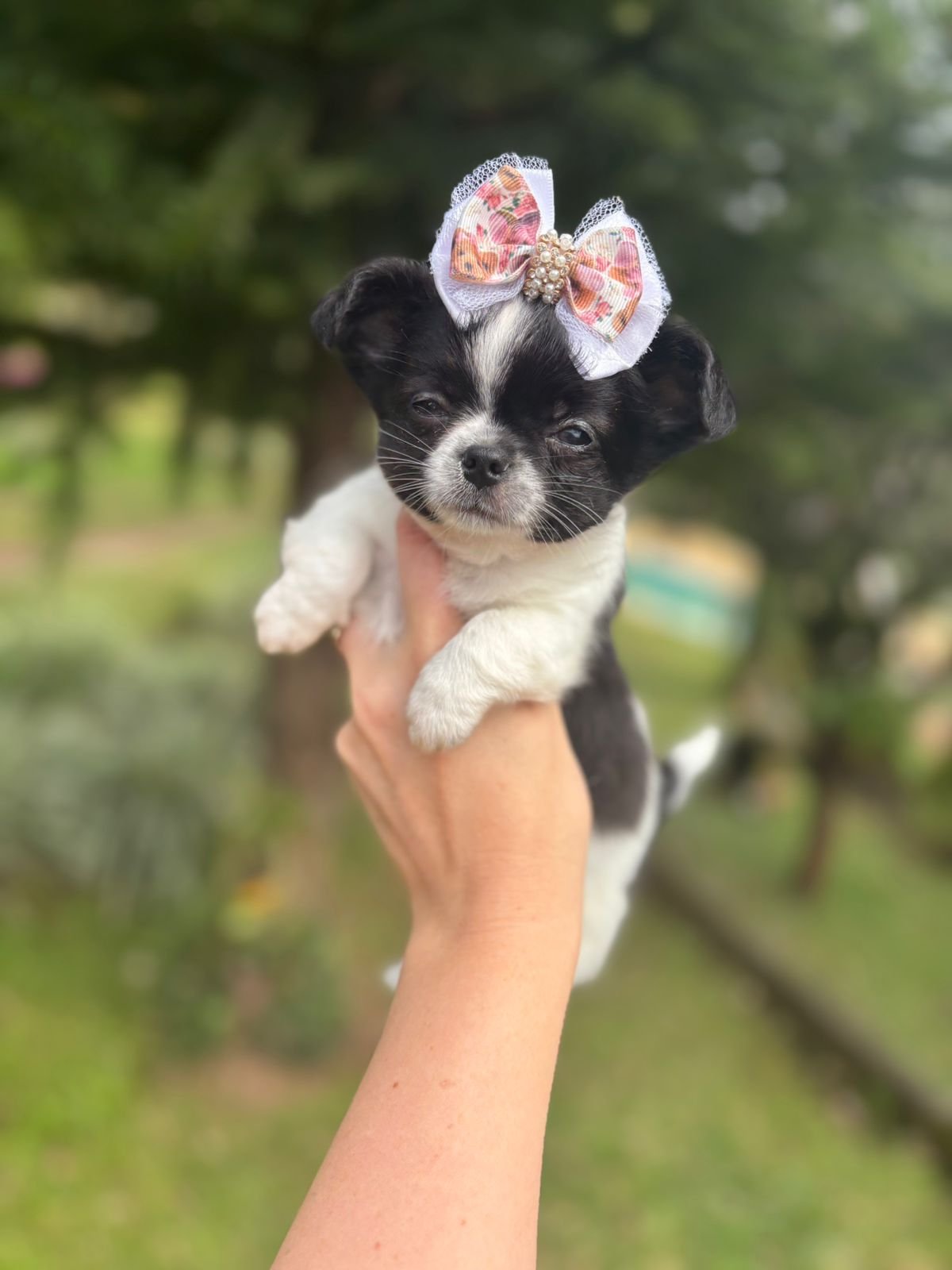 Imagem do WhatsApp de 2025-09-03 à(s) 14.13.11_73511ba8