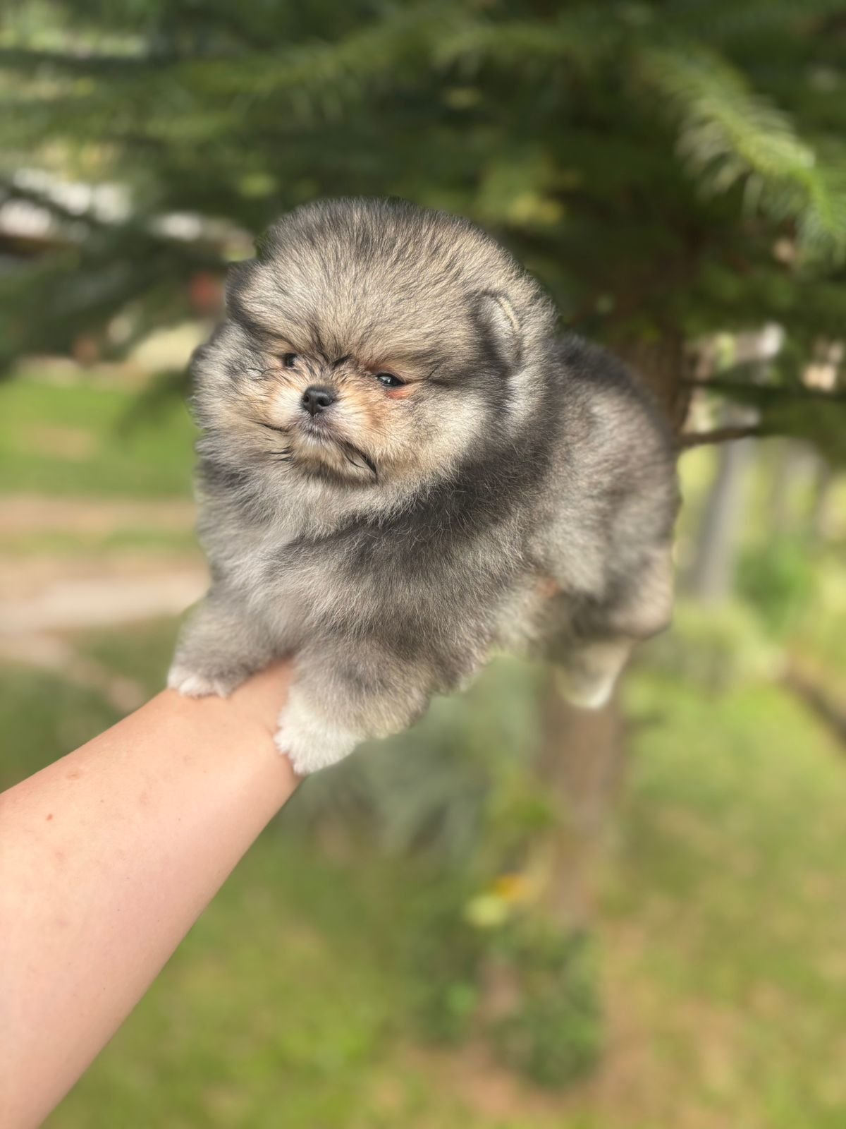 Imagem do WhatsApp de 2025-09-03 à(s) 16.24.15_514b7ef8