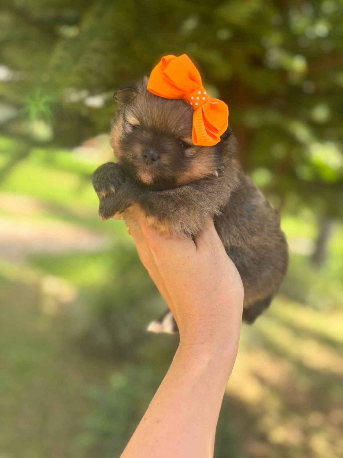 Imagem do WhatsApp de 2025-12-02 à(s) 12.08.51_d66d6c07