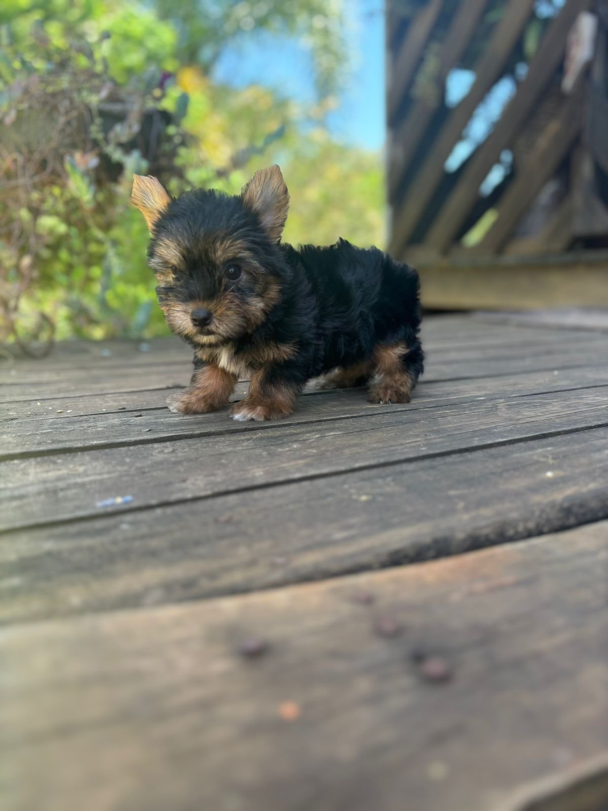 Imagem do WhatsApp de 2025-12-02 à(s) 12.09.50_769444e7