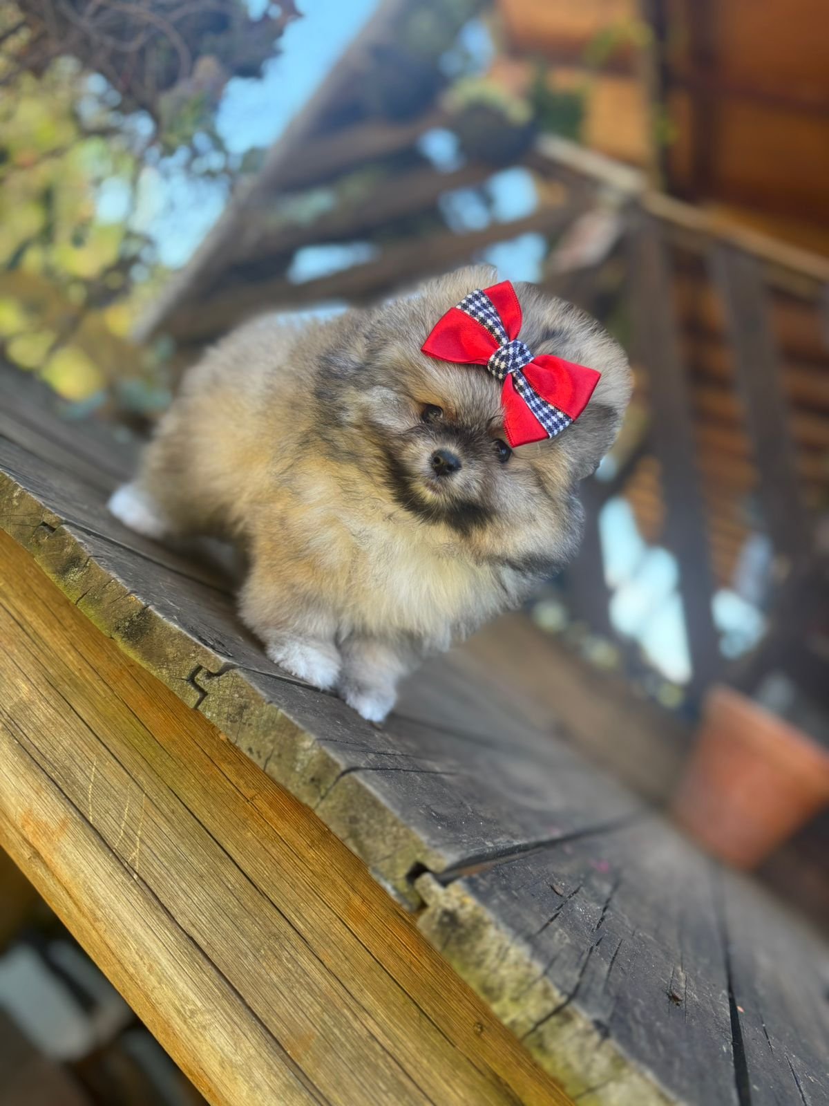 Imagem do WhatsApp de 2025-12-02 à(s) 12.10.23_5782d115