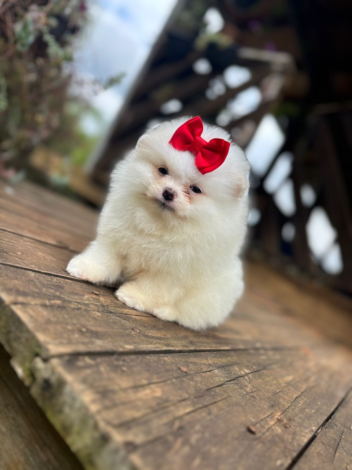 Imagem do WhatsApp de 2025-12-02 à(s) 12.10.23_5c8c53a9