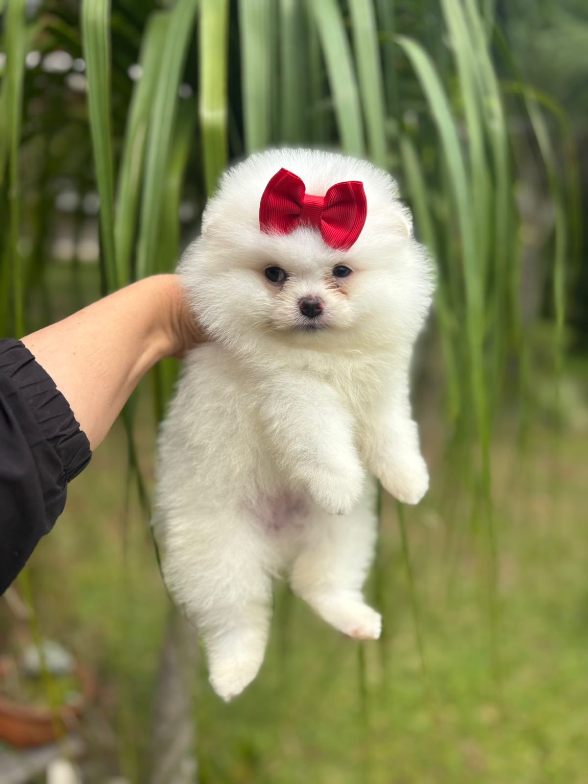 Imagem do WhatsApp de 2025-12-02 à(s) 12.10.23_f3b000d3