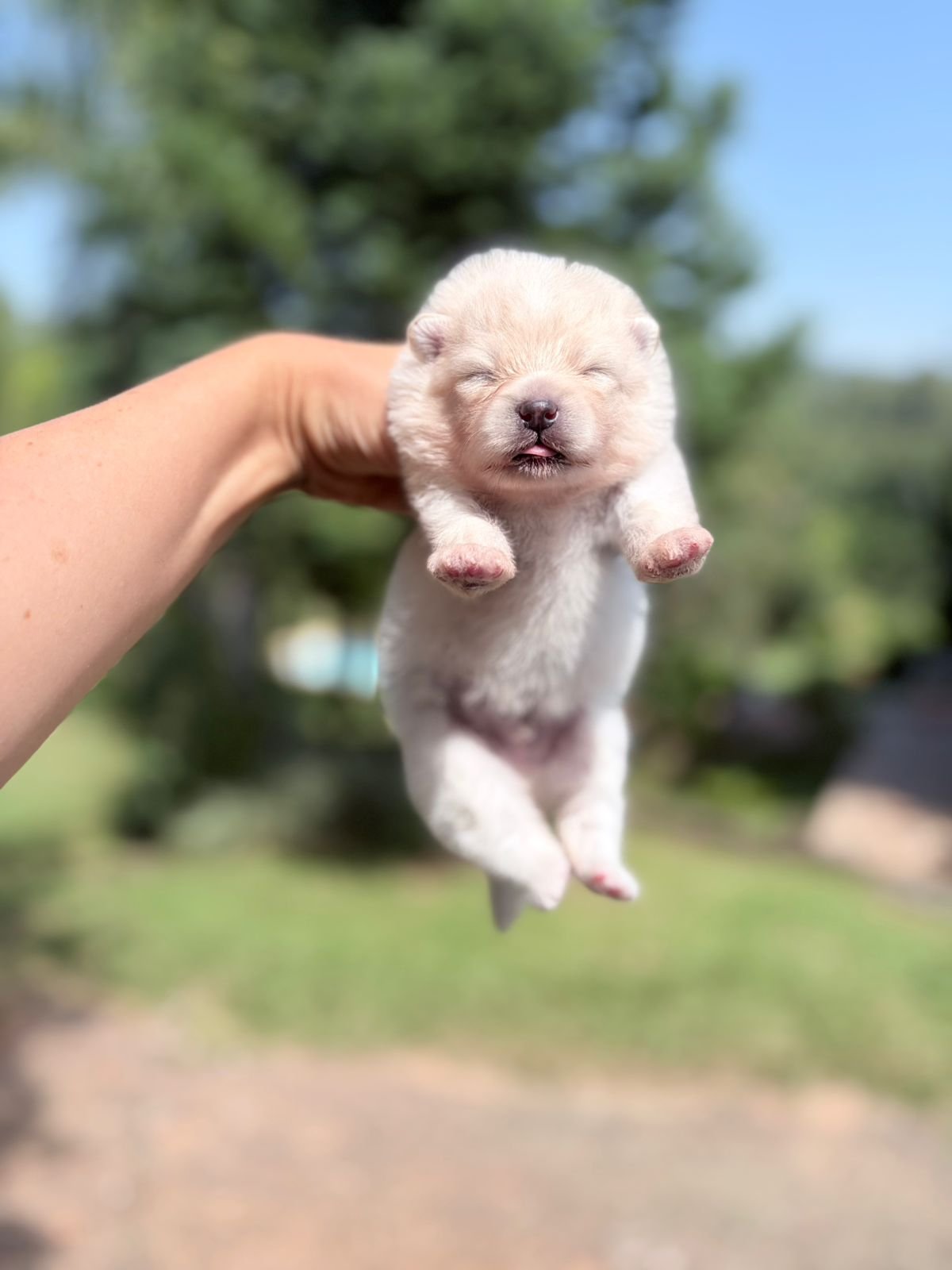 WhatsApp Image 2026-03-11 at 17.39.49